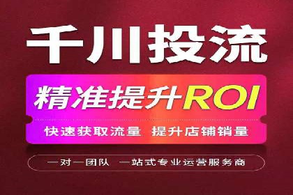 百度优化推广案例：快速提升网站排名